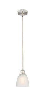 Edison One Light Mini Pendant in Brushed Satin Nickel (405|6161SSNG381)
