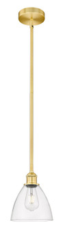 Edison One Light Mini Pendant in Satin Gold (405|6161SSGGBD752)