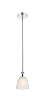 Edison One Light Mini Pendant in Polished Chrome (405|6161SPCG381)