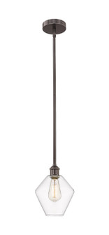 Edison One Light Mini Pendant in Oil Rubbed Bronze (405|6161SOBG6528)