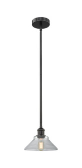 Edison One Light Mini Pendant in Matte Black (405|6161SBKG132)