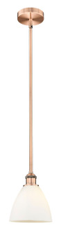 Edison One Light Mini Pendant in Antique Copper (405|6161SACGBD751)