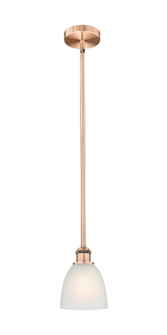 Edison One Light Mini Pendant in Antique Copper (405|6161SACG381)