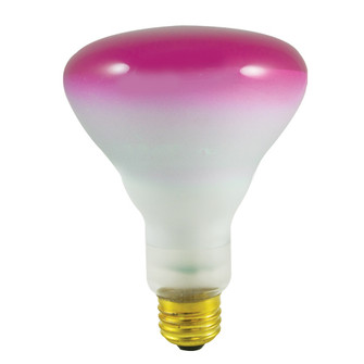 Light Bulb in Pink (427|246075)