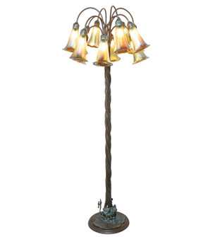 Amber 12 Light Floor Lamp in Bronze (57|264644)
