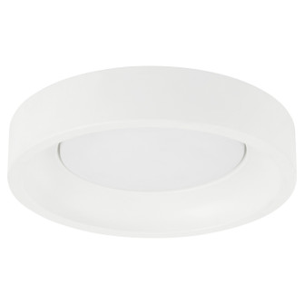 Zeus LED Light Kit in Studio White (19|8108068)