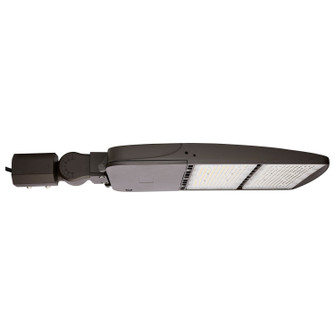 LED Area Light in Bronze (72|658694)