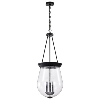 Boliver Three Light Pendant in Matte Black (72|607803)