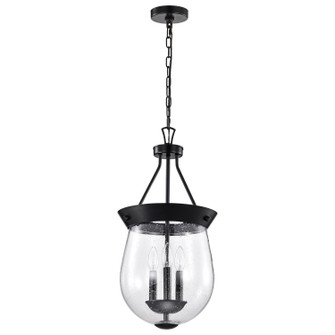 Boliver Three Light Pendant in Matte Black (72|607800)