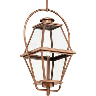 Bradshaw One Light Outdoor Hanging Lantern in Antique Copper (Painted) (54|P550138169)