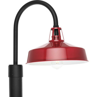 Cedar Springs One Light Outdoor Post Lantern in Red (54|P540103039)