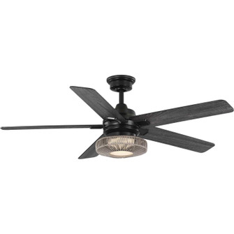 Schaal 52''Ceiling Fan in Matte Black (54|P25010131M30)