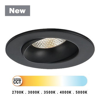 Midway LED Recessed Fixture in Black (40|45369025)