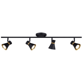 Alto LED Directional Light in Matte Black and Satin Brass (63|C0287)