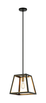 ROSALIE One Light Pendant in Matte Black + Aged Gold Brass (423|C72101MBAG)