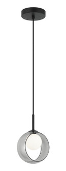 Delcia LED Pendant in Black (423|C60601BKSM)