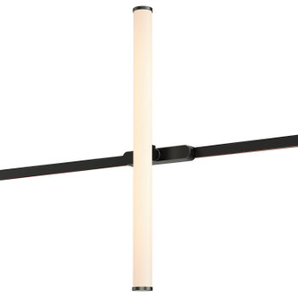 Continuum - Track LED Track Light in Black (86|ETL21232BK)