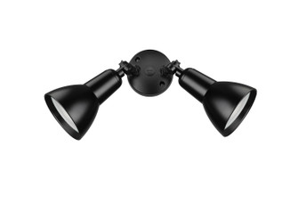 Two Light Security Flood Light in Powder Coated Black (59|17002PBK)