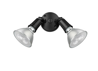 Two Light Security Flood Light in Powder Coated Black (59|16002PBK)