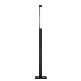 Task Portables LED Floor Lamp in Anodized Brushed Coal (42|P08666FL)