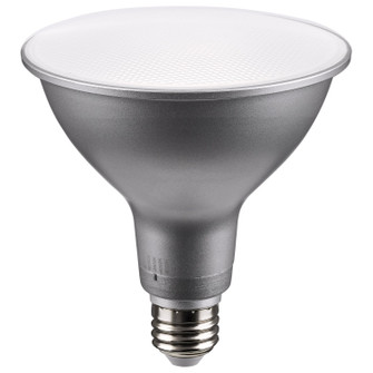 Light Bulb in Silver (230|S11591)