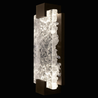 Terra LED Wall Sconce in Bronze/Clear Glass (48|89665041ST)