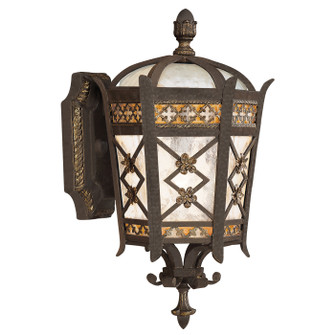 Chateau Outdoor One Light Outdoor Wall Mount in Bronze (48|404781ST)