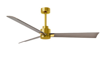 Alessandra 56'' Ceiling Fan in Brushed Brass (101|AKBRBRGA56)