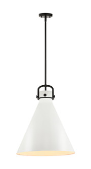Downtown Urban One Light Pendant in Matte Black (405|4101SLBKM41118W)
