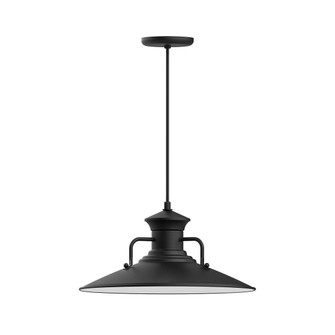 Homestead LED Pendant in Black (518|PEB14341C02L13)