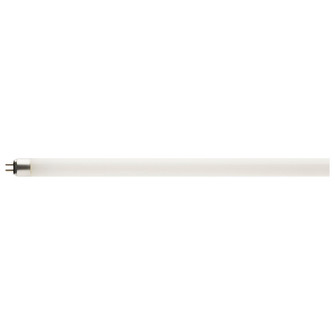 Light Bulb in White (230|S19948)