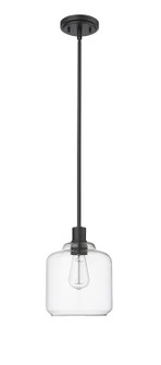 Asheville One Light Mini-Pendant in Matte Black (59|46901MB)