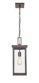 Barkeley One Light Outdoor Hanging Lantern in Powder Coated Bronze (59|42607PBZ)