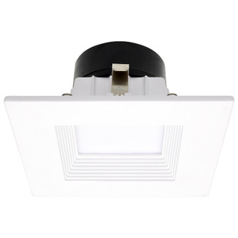 LED Downlight in White (230|S11569)