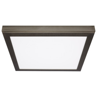 LED Blink Pro Plus in Brushed Nickel (72|621799)