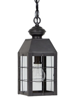 Woodcliffe One Light Hanging Lantern in Dark Brass (196|8312DBMEDCLR)