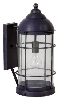 Nautical One Light Wall Mount in Dark Brass (196|3531DBMEDCLR)