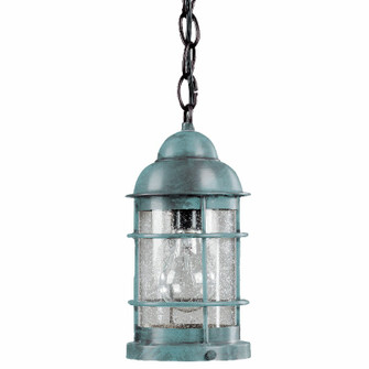 Nautical One Light Hanging Lantern in Verdi Gris (196|3512VGMEDCSG)