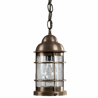 Nautical One Light Hanging Lantern in Dark Antique Brass (196|3512DABMEDCSG)