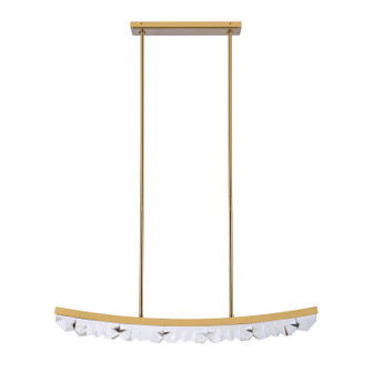 Arcus LED Linear Pendant in Aged Brass (360|PL11613LED48AGB)