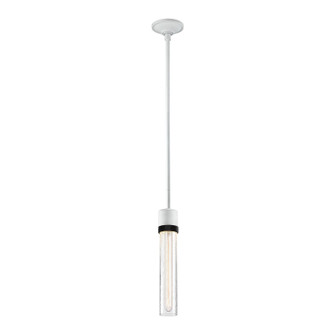 Zigrina One Light Pendant in Matte White (360|P11706E26MWKSBBG5)