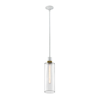 Zigrina One Light Pendant in Matte White (360|P11706E26MWKAGBG15)