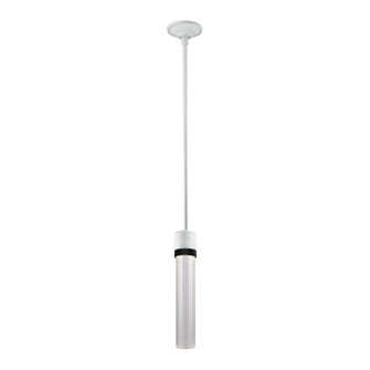 Zigrina LED Pendant in Matte White (360|P11702LEDMWKSBBG3)
