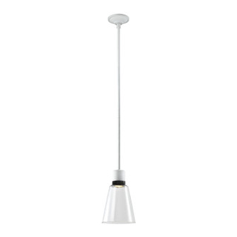 Zigrina LED Pendant in Matte White (360|P11702LEDMWKSBBG16)