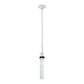 Zigrina LED Pendant in Matte White (360|P11702LEDMWKSBBG1)