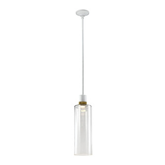 Zigrina LED Pendant in Matte White (360|P11702LEDMWKAGBG15)