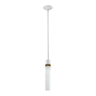 Zigrina LED Pendant in Matte White (360|P11702LEDMWKAGBG1)