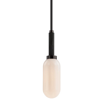 Annex One Light Pendant in Anodized Black (67|F7353AN)