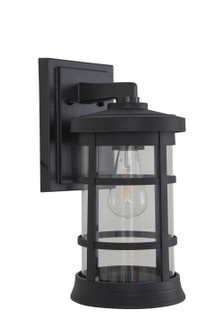 Resilience Lanterns One Light Outdoor Lantern in Textured Black (46|ZA2314TBC)