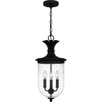 Havana Three Light Pendant in Earth Black (10|HVN1510EK)